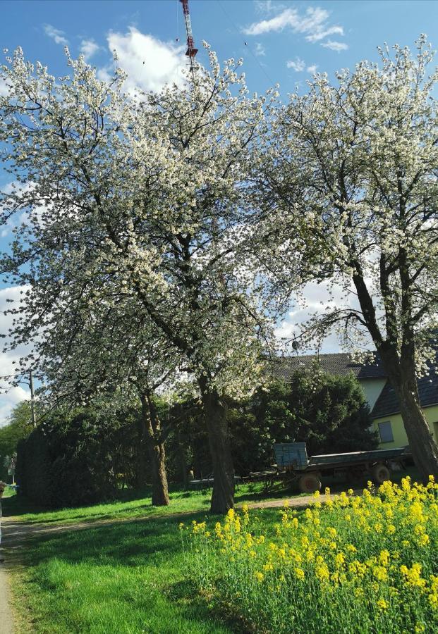 Ferienwohnung Landidylle Nassheck Dieblich Exteriér fotografie