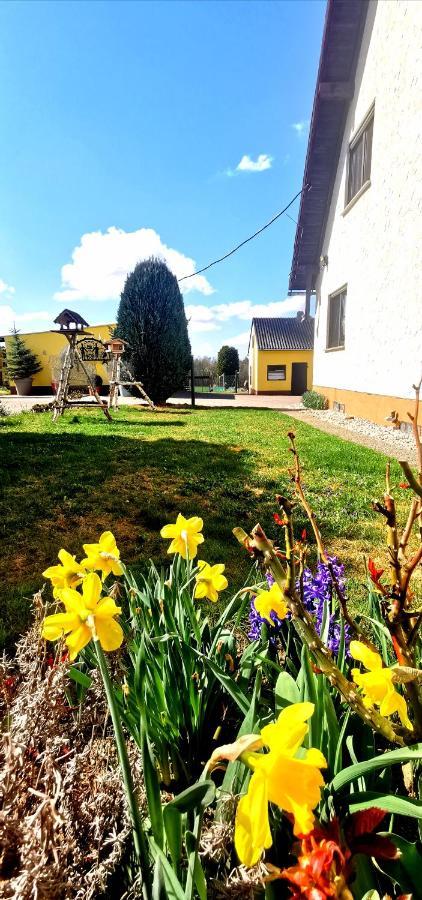 Ferienwohnung Landidylle Nassheck Dieblich Exteriér fotografie