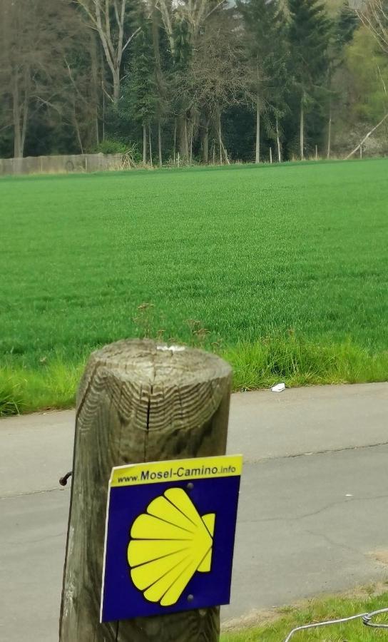 Ferienwohnung Landidylle Nassheck Dieblich Exteriér fotografie